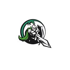 The Provision logo